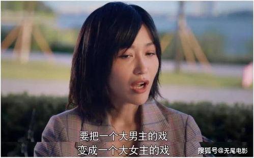 娱乐吃瓜酱编剧是谁啊,是谁匠心独运打造热门剧集？