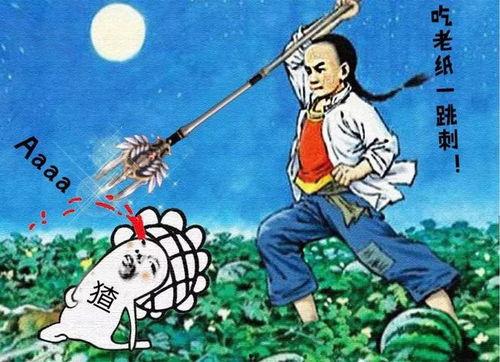 娱乐圈吃瓜不钓鱼,揭秘明星们的“吃瓜”生活