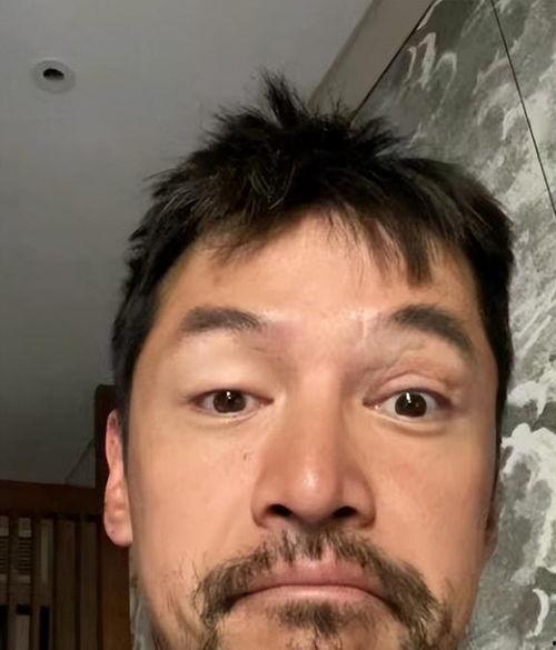 吃瓜娱乐胡歌完整版,揭秘吃瓜娱乐背后的完整故事